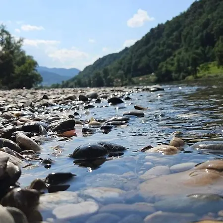 Apartment Zlatna Plaza *