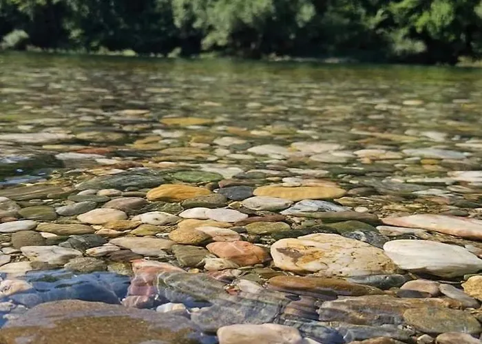 Zlatna Plaza Διαμέρισμα